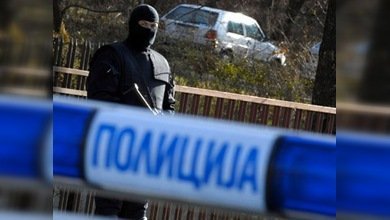 Esposa de Ratko Mladic acusada de posesión ilegal de armas