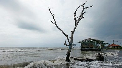 El calentamiento global pondrá a 150 millones de personas con el agua al cuello