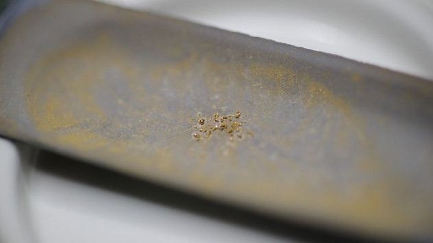 Alquimia moderna: microbiólogos convierten en oro una sustancia química