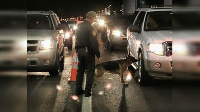 Inteligencia, drones y rayos X para impedir que los norteamericanos consuman la droga