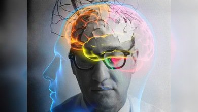 Un escáner cerebral para predecir las acciones de las personas
