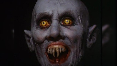 Un vampiro que ‘ataca’ a plena luz del día