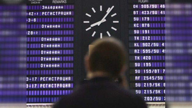 Un ternero paraliza el funcionamiento del principal aeropuerto de Moscú