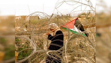 Adhesión de Palestina a la ONU: ¿un paso para llegar a la paz?