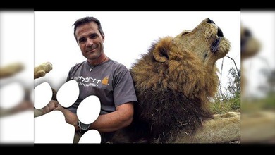 Conozcan a Napoleón, un león muy 'hablador'