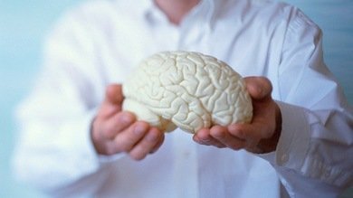 La pérdida de memoria podría tener cura