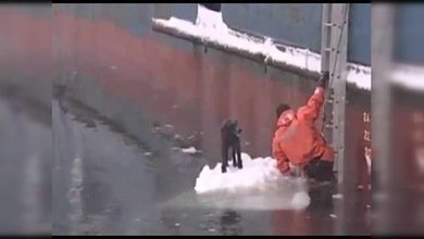 Un valiente marinero salta al agua helada para salvar a un perro