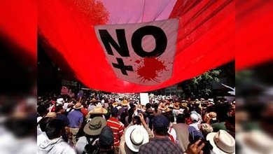 Casi la mitad de los mexicanos cree que la narcoviolencia atenta contra la democracia