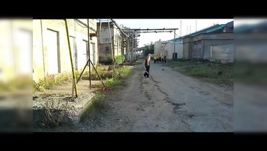 Rusia: dos patos atacan a un operario