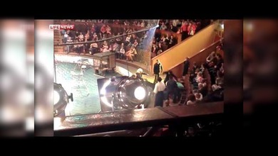 Una pantera atacó a una espectadora de un circo en Siberia