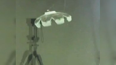 'Robomedusa', a la conquista del mundo submarino
