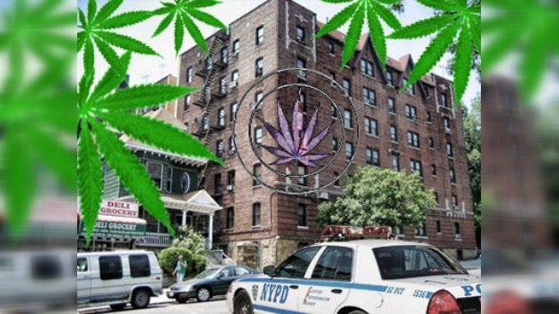 Confiscan cientos de kilogramos de marihuana en el barrio neoyorquino del Bronx
