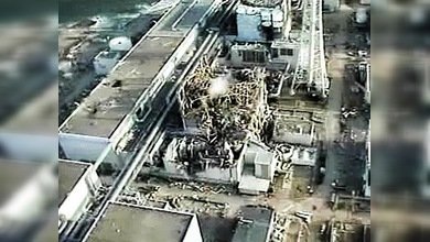 Japoneses combaten radioactividad con minerales absorbentes de radiación