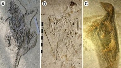 Científicos resuelven el misterio de la 'Pompeya china'