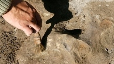 Hallan en Chile restos humanos cerca de un recinto militar de la época de la dictadura