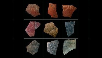 El progreso humano hace 60.000 años