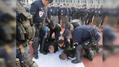 Miles de manifestantes se concentran en Niza contra el G-20