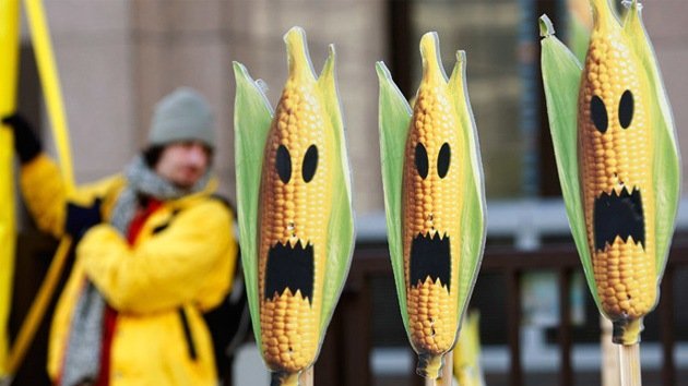 Diputados rusos: "Tratemos a los productores de OGM dañinos como a terroristas"