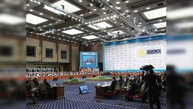 La OSCE halló en su cuerpo varios 'talones de Aquiles'