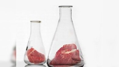 Holandeses logran producir carne 'de probeta'
