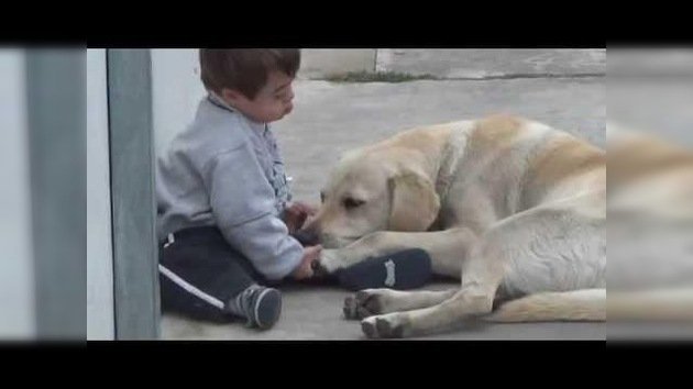 Un cariñoso labrador convence a un niño con síndrome de Down para que lo abrace