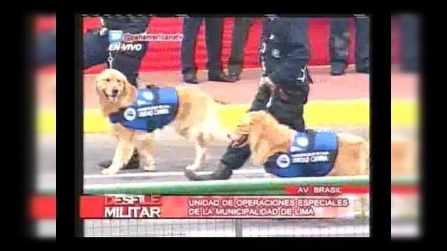 Perú: Seguridad del presidente retira agresivamente a un perro que se 'infiltró' en un desfile militar