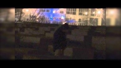 Alemanes orinan sobre el monumento al Holocausto en Berlín en Noche Vieja