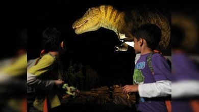 Cumpleaños, baile, dinosaurio: palabras borradas de las escuelas de Nueva York