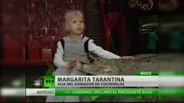 Cocodrilos como animales domésticos para una niña rusa