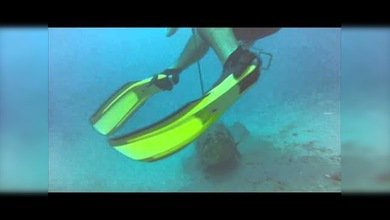 Un pez gigante ataca a un pescador y le roba su pesca y arma