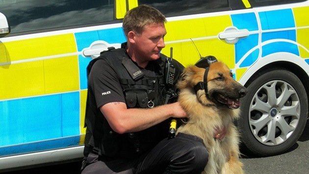 Nace el 'cameracan': la policía británica instala cámaras digitales a sus perros