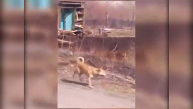 Una casa termina bajo tierra por un socavón