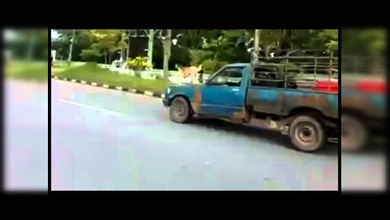 Un perro que surfea en autos