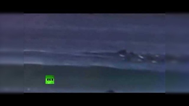 Una ballena deja K.O. a un surfista en Australia