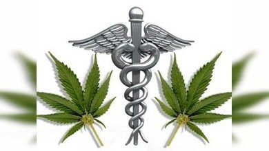 Las capacidades curativas de la marihuana