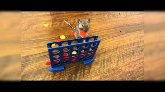 Un ratoncito muy listo