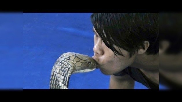 Un joven besa... a una cobra real
