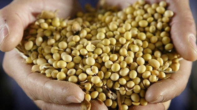 Un tribunal brasileño condena a Monsanto por publicidad engañosa