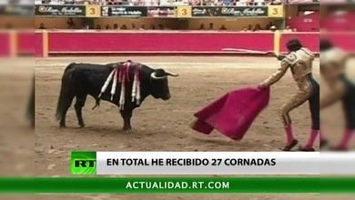 Entrevista con Francisco Camino Sánchez, legendario torero español