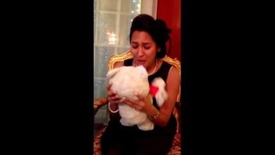 El regalo más conmovedor: reencontrarse con tu oso de peluche de la infancia que daba por perdido