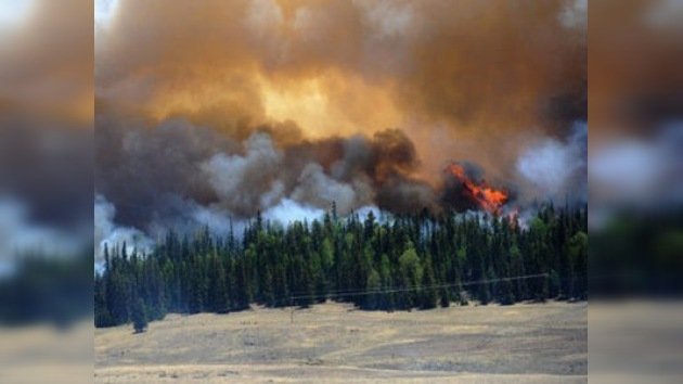 El fuego ya ha arrasado 200.000 hectáreas de bosque en Arizona