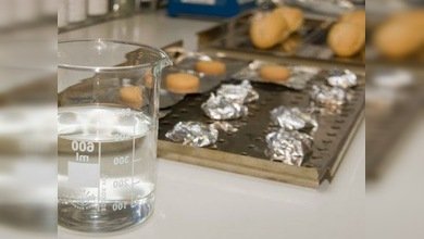 Platos con todo el sabor y sin sustancias cancerígenas
