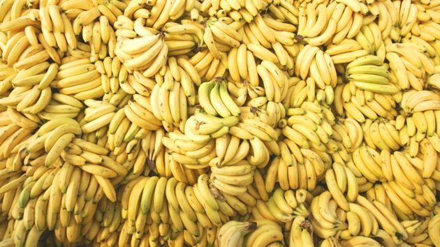 Hongo mortal amenaza con destruir los cultivos mundiales de banana