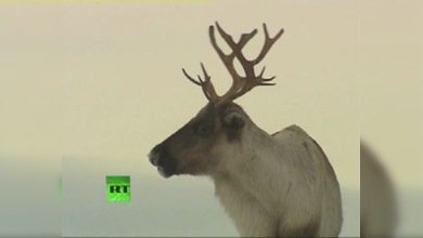 Krasnoyarsk (parte 1)