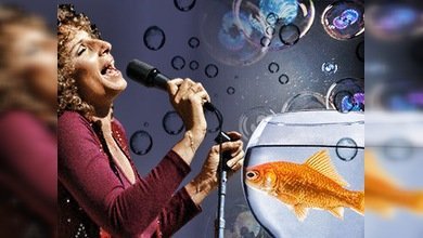 Una americana enseña a su pez a tocar 'Moon River' en el glockenspiel