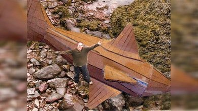 Por desgracia, un hombre desarmado es incapaz de matar a un tiburón