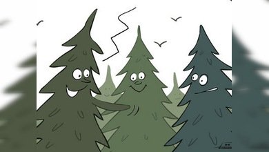 Abetos clonados: futuros imprescindibles de las fiestas navideñas rusas