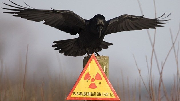 Un ingeniero revela insólitos detalles de su labor de emergencia en Chernóbil
