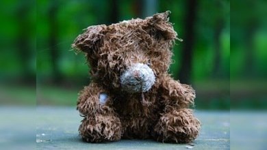 Una niña de 7 meses sobrevive tres días sola y herida de bala en el pecho