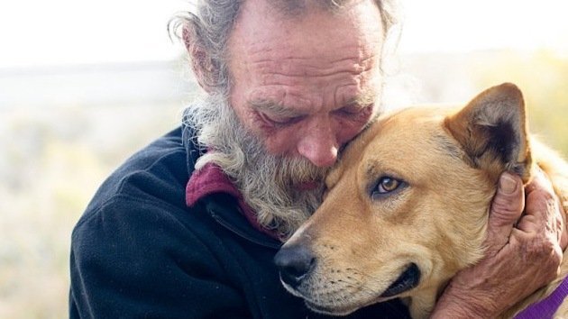 'Milagro de Navidad': Las donaciones salvan la vida del perro atropellado de un indigente